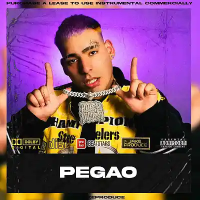 Picture for song '(PEGAO) Kaleb Di Masi Type Beat ALETEO' by artist 'Jake Produce'