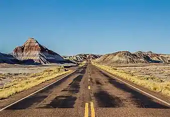 Picture for song 'Bandera' by artist 'Johanna Renfro'