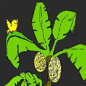 Picture for song 'yellow bird' by artist 'MGlennM'