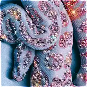 Picture for song 'ICEY' by artist 'Partner'