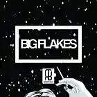 Picture for song 'Big Flakes (Free Demo DL)' by artist 'Richie Bangas'