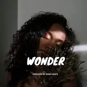 Picture for song 'Wonder [1]' by artist 'Scary Beatzs'