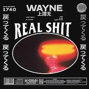 Picture for song 'real shit' by artist 'wayne.prods'