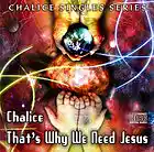 Picture for song 'That's Why We Need Jesus' by artist 'Chalice'