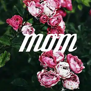 Picture for song 'MOM (BUY 1 GET 4 FREE)' by artist 'DriveMeCrazy'