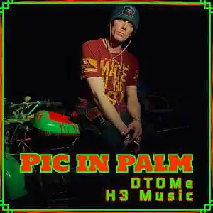 Picture for song 'Pic in Palm (H3 Music)' by artist 'D-TOMe'