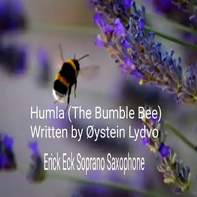 Picture for song 'Humla (The Bumble Bee)' by artist 'Erick Eck'