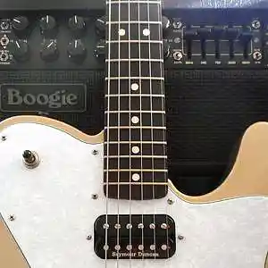 Picture for song 'Honey Bee' by artist 'Homoerectus (AUS)'