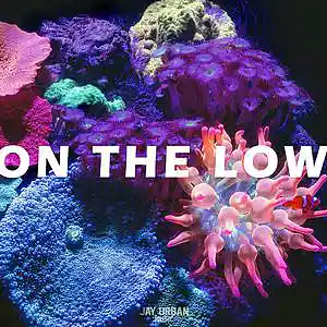 Picture for song 'On The Low (Dark Pop Type Beat)' by artist 'JayUrbanMusic'
