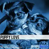Picture for song 'Puppy Love *R&B*' by artist 'KaCe The Producer'