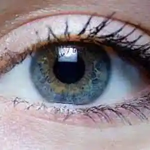 Picture for song 'Oraq-2' by artist 'BassBoyWonder'