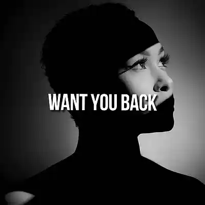 Picture for song 'Want You Back' by artist 'MandalazMusic'