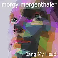 Picture for song 'Bang My Head' by artist 'Morgy Morgenthaler'