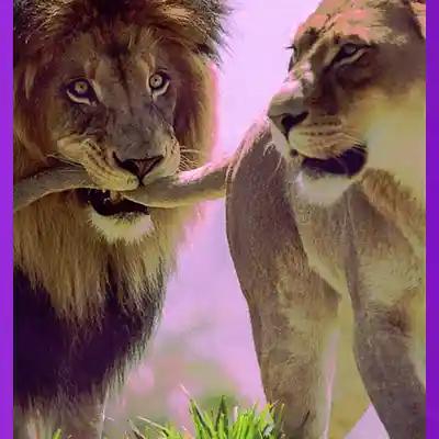 Picture for song 'Left for Live' by artist 'NDE'