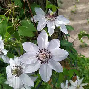 Picture for song 'Dark Movie 4' by artist 'Restsound'