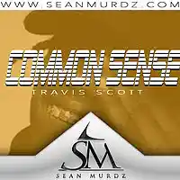 Picture for song 'Common Sense' by artist 'SeanMurdz'