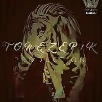 Picture for song 'MIDNIGHT SESSION' by artist 'TONEzEp1K Pro'