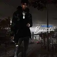 Picture for song 'Beautiful' by artist 'DontaStyles'