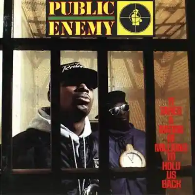 Picture for song 'blacksteelinthehourofchaospublicenemy25 (1)' by artist 'Eminem 2'