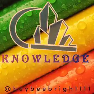 Picture for song 'Knowledge' by artist 'Bliss dml'