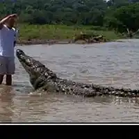 Picture for song 'the bad genes' by artist 'JimRoss'