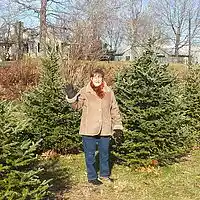 Picture for song 'Merry Merry Christmas' by artist 'J Prock'