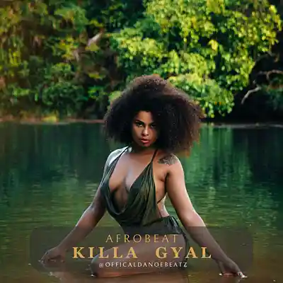 Picture for song 'KILLA GYAL - Afrobeat' by artist 'OfficialDanoeBeatz'