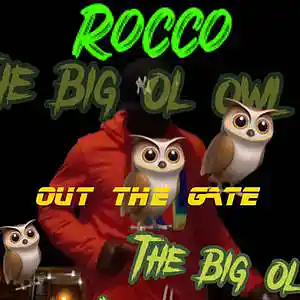 Picture for song 'FEDERAL 782' by artist 'Rocco The Big Ol Owl'