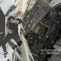 Picture for song '*BANGER* Skyfall' by artist 'Rollin Music Beatz'