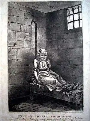 Picture for song 'Slave Cell' by artist 'Suite for Queen Caroline'
