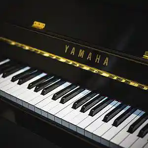 Picture for song 'Time On My Hands' by artist 'Pianist Tony William'