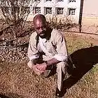 Picture for song 'Ricky Ross' by artist 'Daisy Tha King'