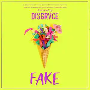 Picture for song 'Fake' by artist 'DISGRVCE'
