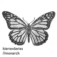 Picture for song 'Monarch' by artist 'DJ Kiwi'