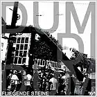 Picture for song 'Dumdidum' by artist 'FLIEGENDE STEINE'