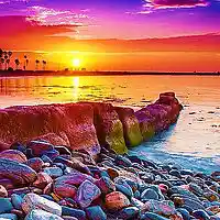 Picture for song 'Jellyfish/The Red Worm/Prince or Pauper?' by artist 'Johanna Renfro'