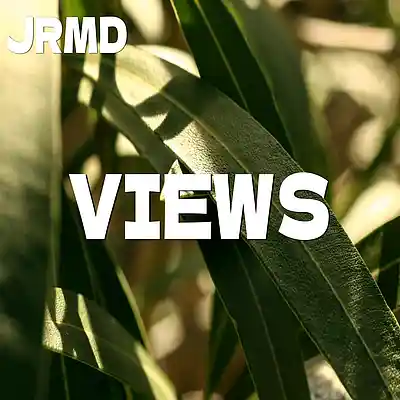 Picture for song 'Views (Afro Reggaeton x Dancehall Type Beat)' by artist 'Jrmd'