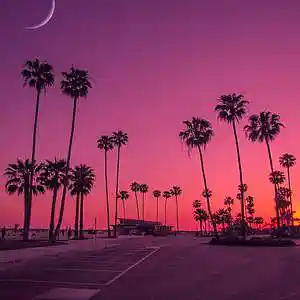 Picture for song 'Maestro Music1 - Sunset' by artist 'MaestroMusic1'