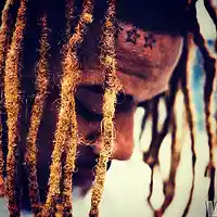Picture for song 'Zoo Lyfe!!! (Fetty Wap Type) FREE DL' by artist 'Stunna1k Beats'