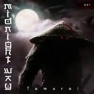 Picture for song 'midnight way' by artist 'tamurai'