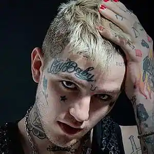 Picture for song 'Lil Peep Type Beat Guitar' by artist 'TrapzBeFire'