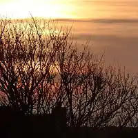 Picture for song 'Stringing a Guild Along in D Aeolian & A Phrygian' by artist 'Viking Blues'