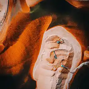 Picture for song 'Limb' by artist 'AcrylicBeats'