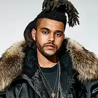 Picture for song 'Pillow Talk (Weeknd X Drake)' by artist 'BigBoyTraks'