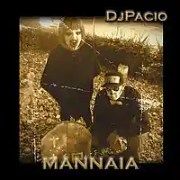 Picture for song 'Mannaia (original mix)' by artist 'DjPacio'