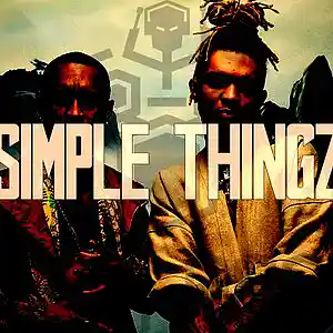 Picture for song 'Simple Thingz *Rae sremmurd type*' by artist 'D-LUX PROD'