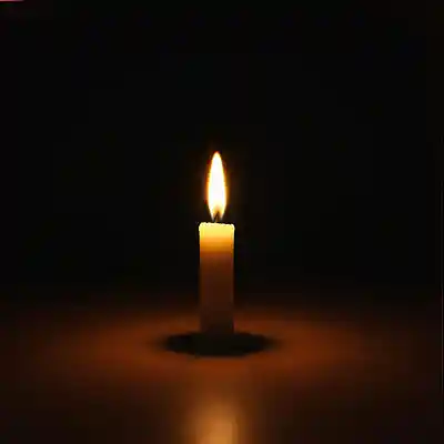Picture for song 'candlelight of life' by artist 'love music play'