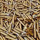 Picture for song '(New)- Dead Man Walkin' by artist 'Zay Productionz'