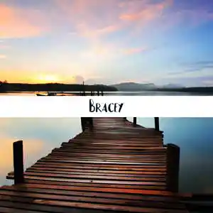 Picture for song 'Bracey (Smooth Melodic Type Beat) - Devezin.com' by artist 'Devezin'