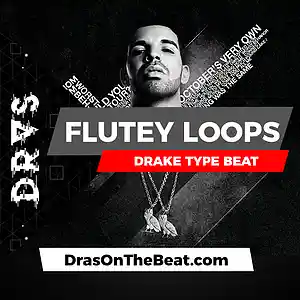 Picture for song 'Flutey Loops' by artist 'Dras On The Beat'